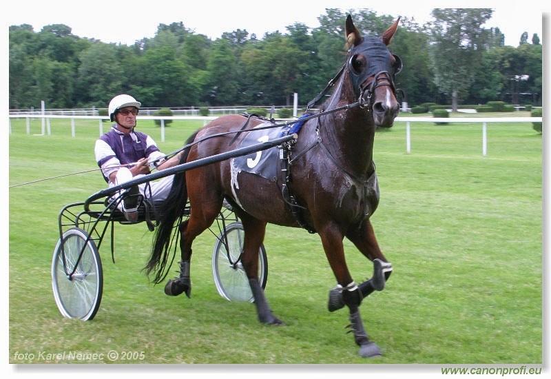 Bratislava - 3. jla 2005