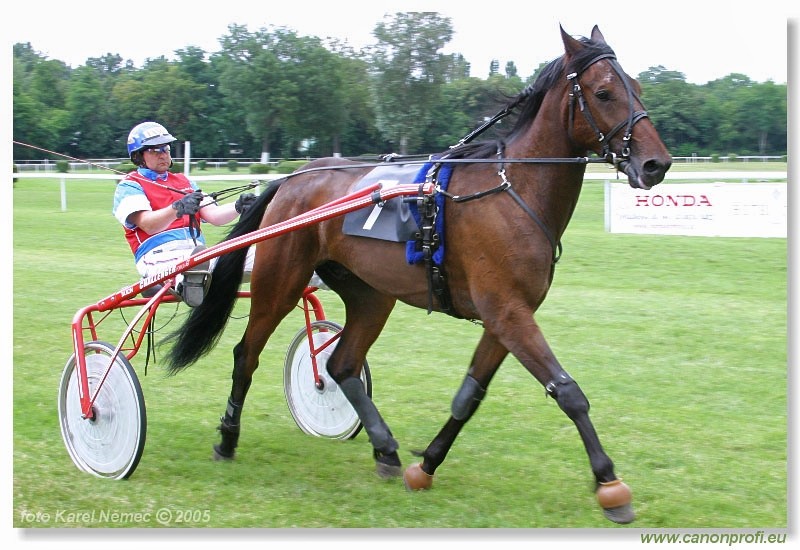 Bratislava - 3. jla 2005