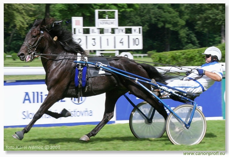 Bratislava - 3. jla 2005