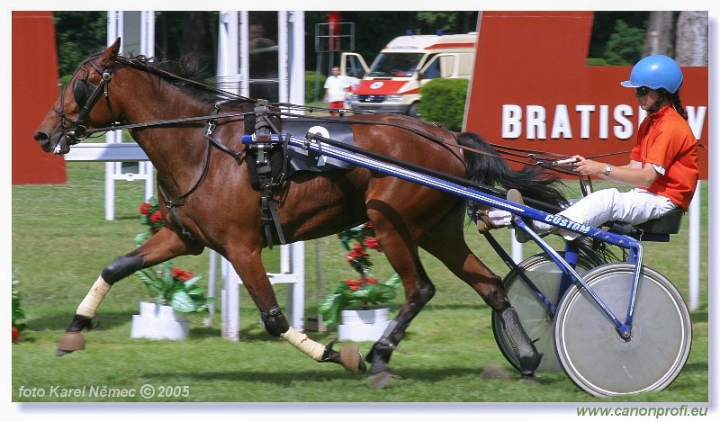 Bratislava - 3. jla 2005