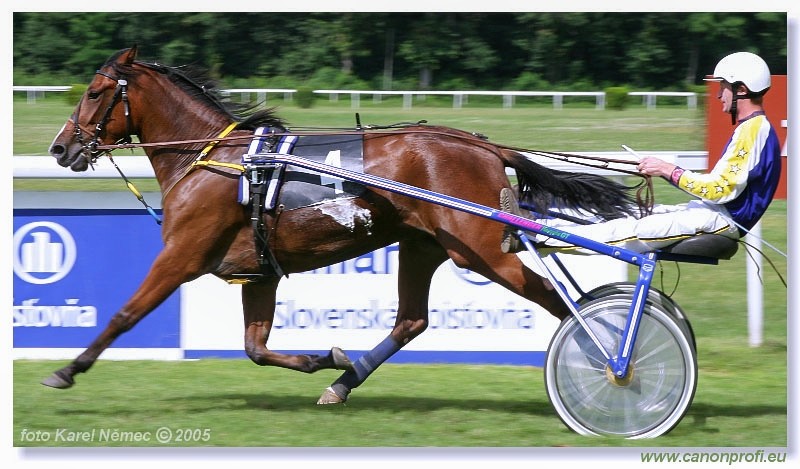 Bratislava - 3. jla 2005