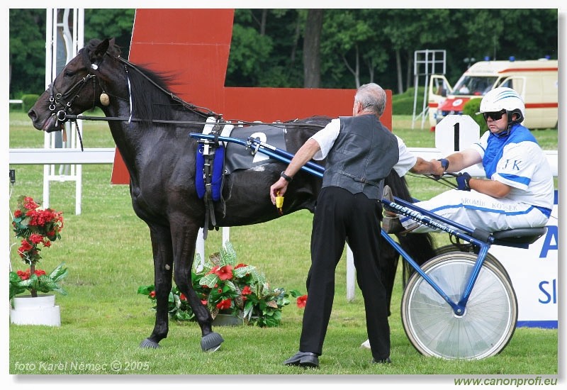 Bratislava - 3. jla 2005