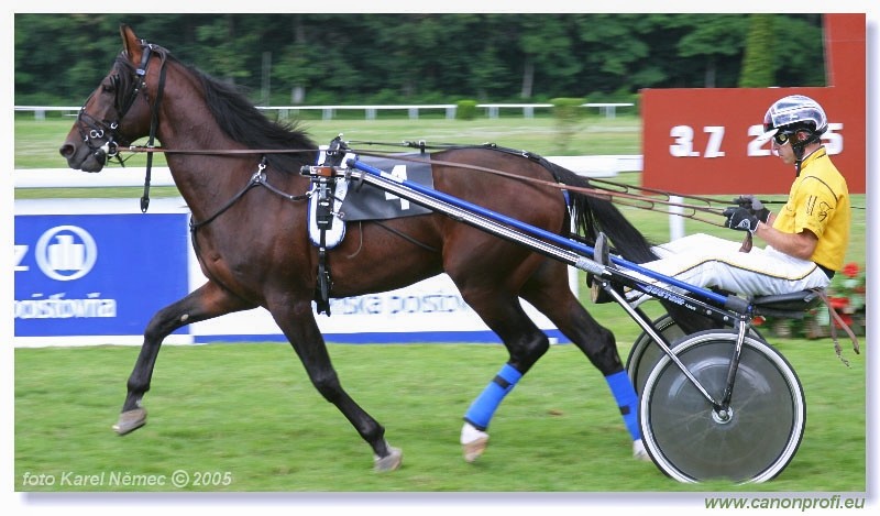 Bratislava - 3. jla 2005