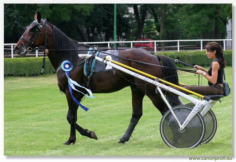 Bratislava - 3. jla 2005