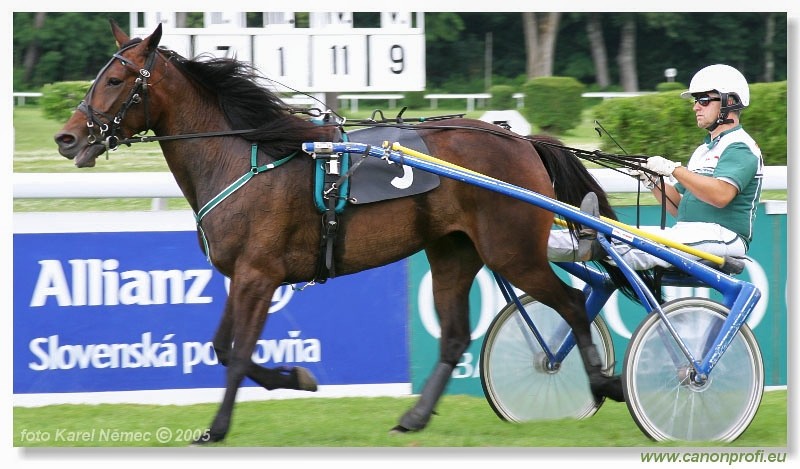 Bratislava - 3. jla 2005