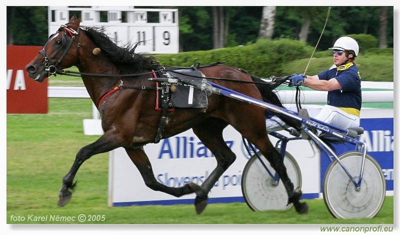 Bratislava - 3. jla 2005