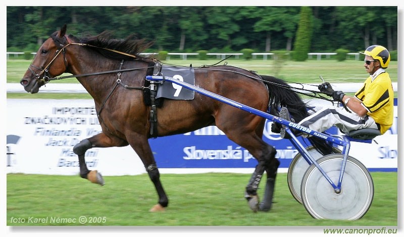 Bratislava - 3. jla 2005