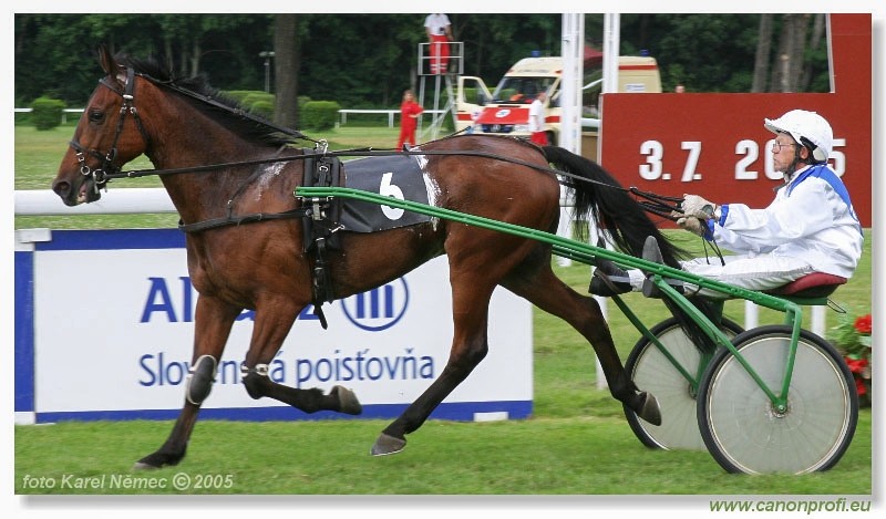 Bratislava - 3. jla 2005