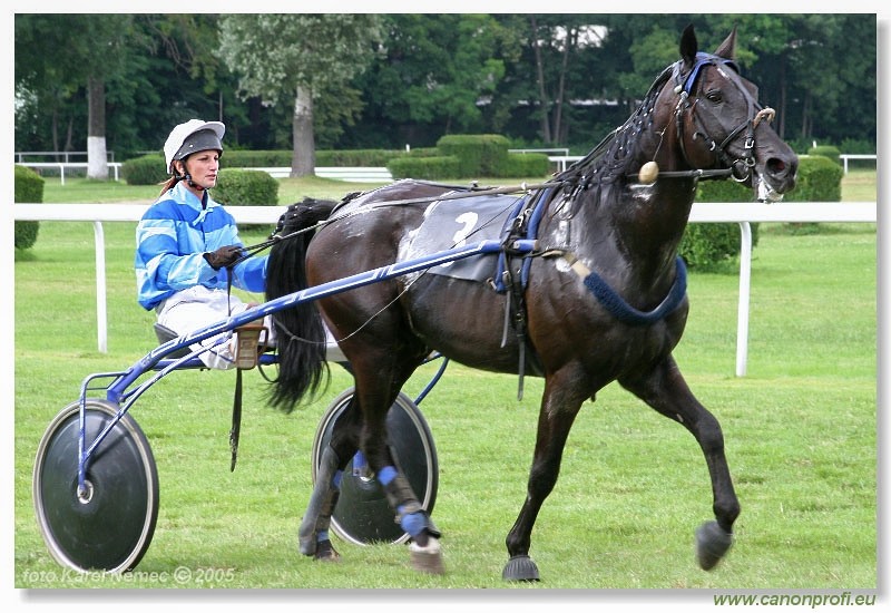 Bratislava - 3. jla 2005