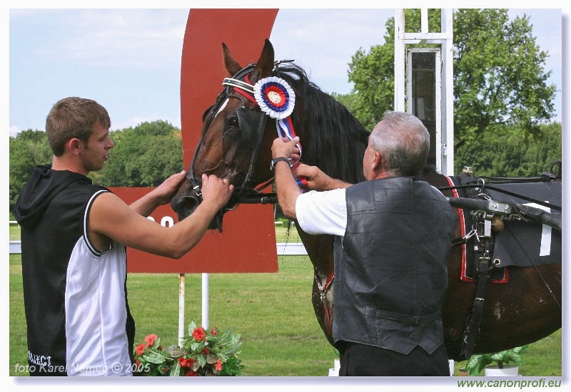 Bratislava - 3. jla 2005