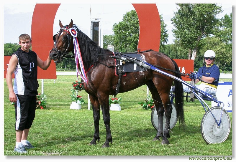 Bratislava - 3. jla 2005