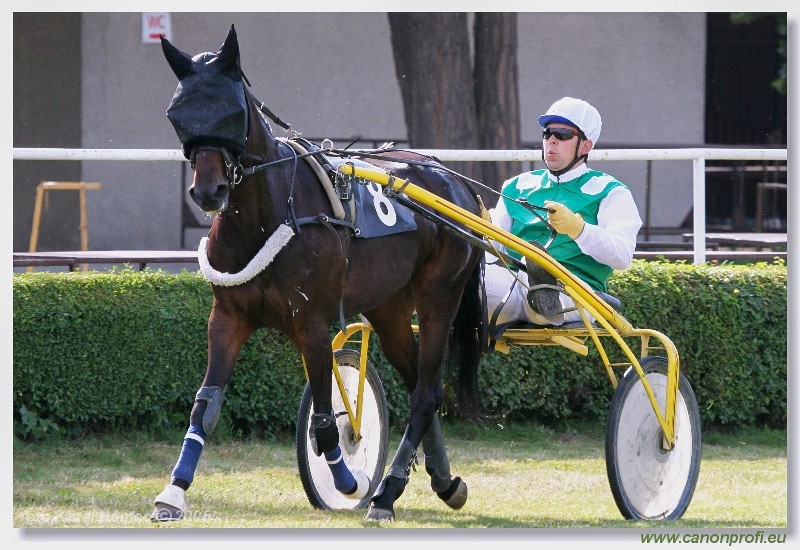 Bratislava - 3. jla 2005