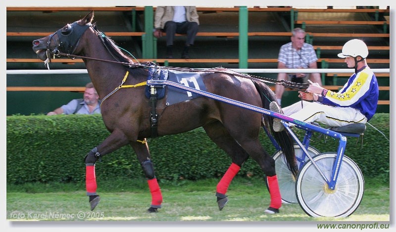 Bratislava - 3. jla 2005