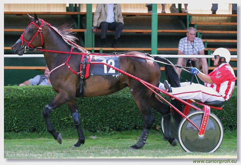 Bratislava - 3. jla 2005