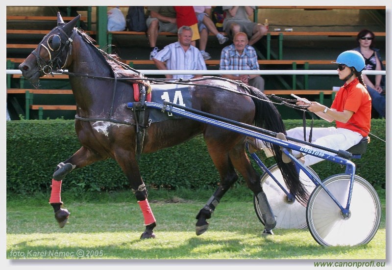 Bratislava - 3. jla 2005