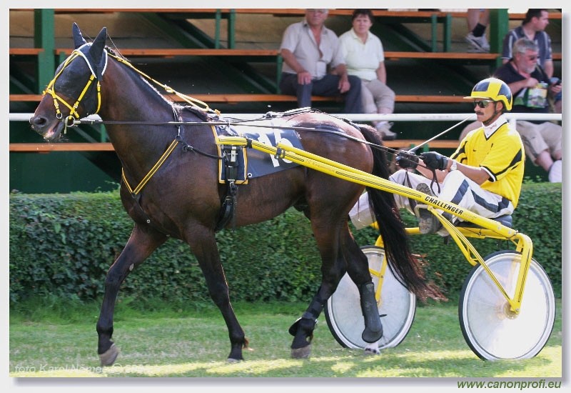 Bratislava - 3. jla 2005