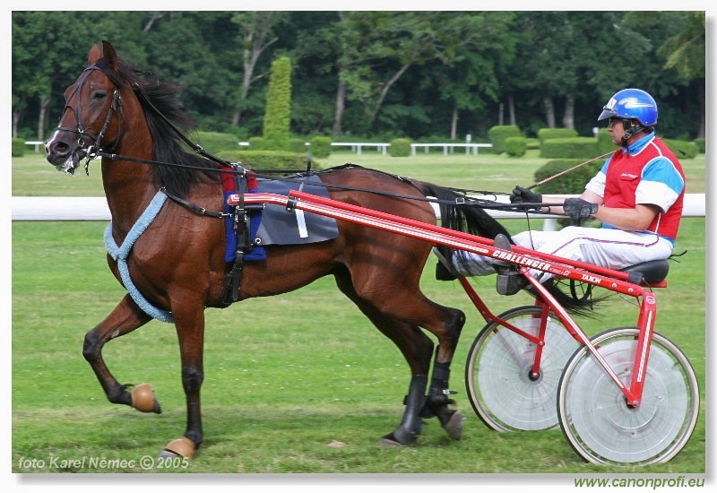 Bratislava - 3. jla 2005