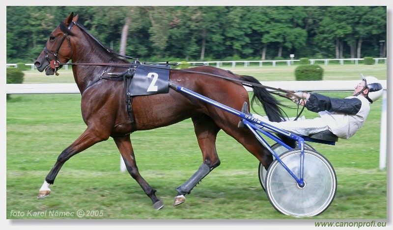 Bratislava - 3. jla 2005