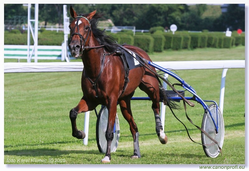 Bratislava - 3. jla 2005