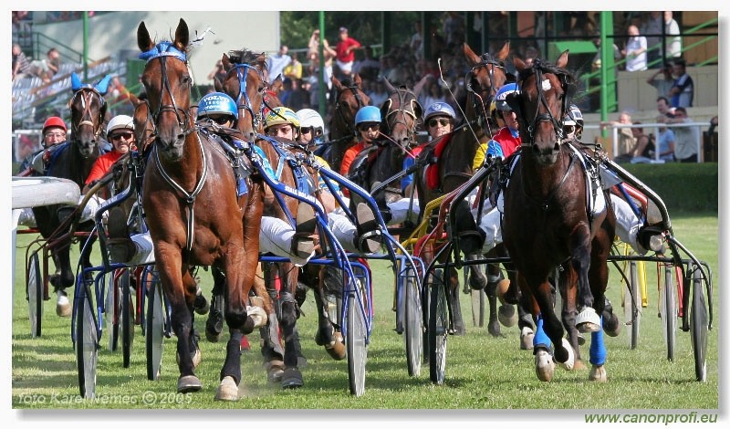 Bratislava - 3. jla 2005