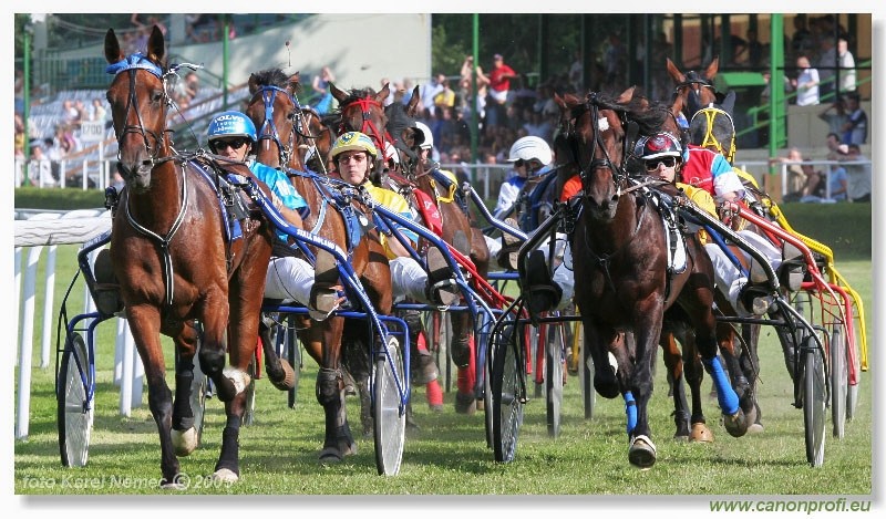 Bratislava - 3. jla 2005