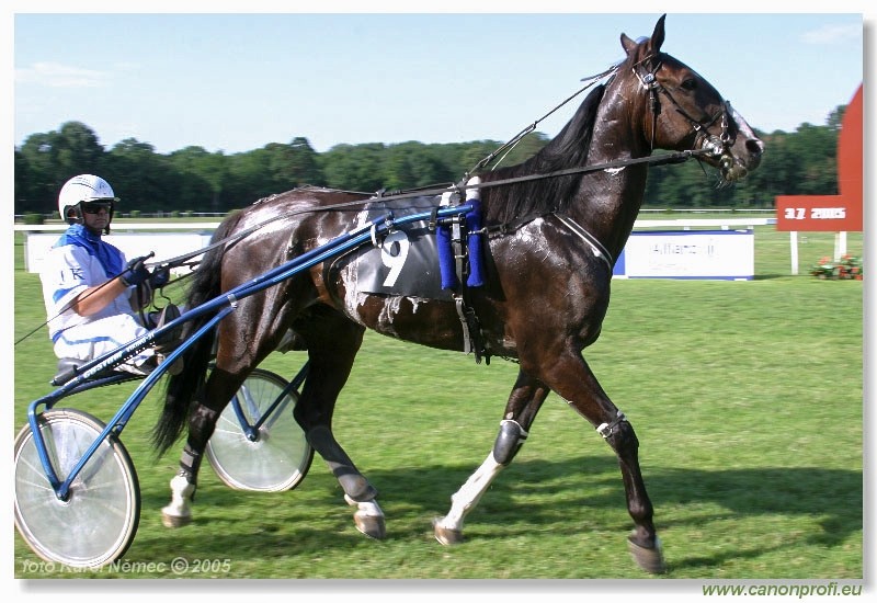 Bratislava - 3. jla 2005