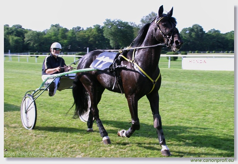 Bratislava - 3. jla 2005