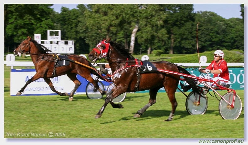 Bratislava - 3. jla 2005