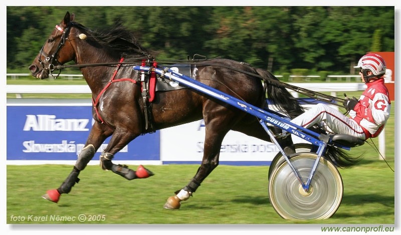 Bratislava - 3. jla 2005