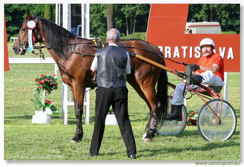 Bratislava - 3. jla 2005