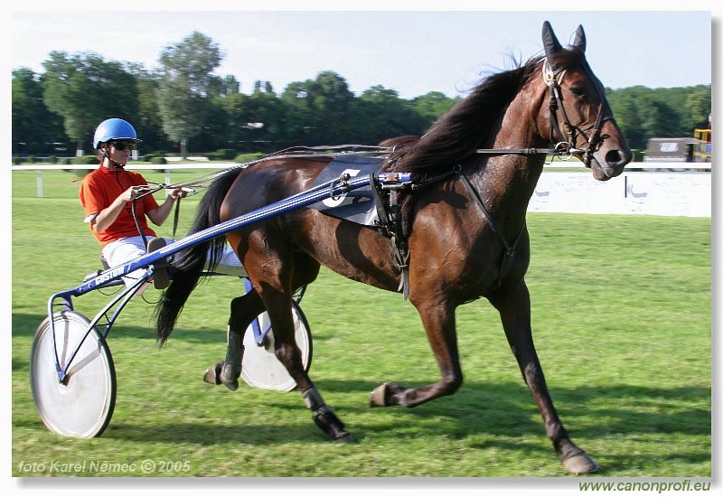 Bratislava - 3. jla 2005