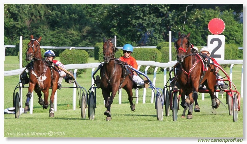 Bratislava - 3. jla 2005