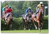 Vek starohjska steeplechase 
