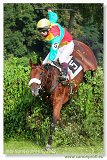 Vek starohjska steeplechase 