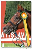 Vek starohjska steeplechase 