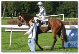 Oaks 