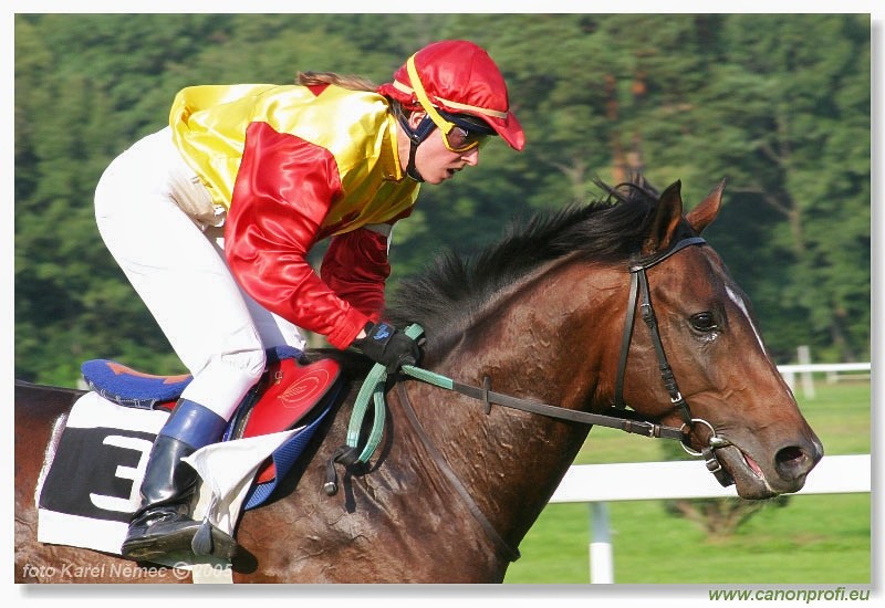 Bratislava - 25. septembra 2005
