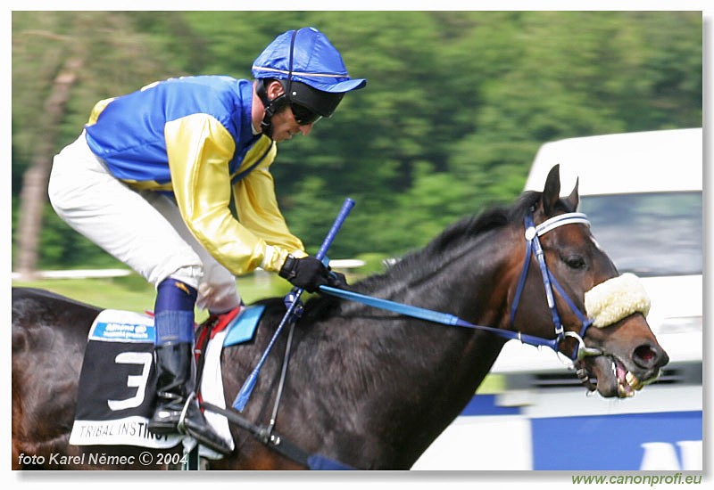 Bratislava - 06. jna 2004