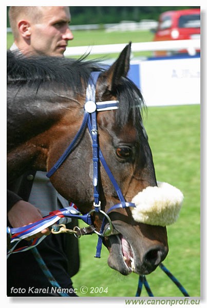 Bratislava - 06. jna 2004