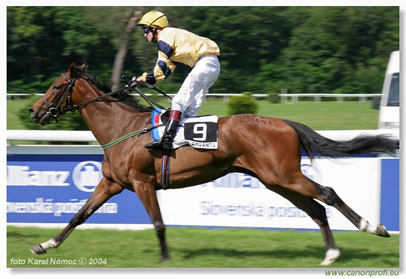 Bratislava - 06. jna 2004