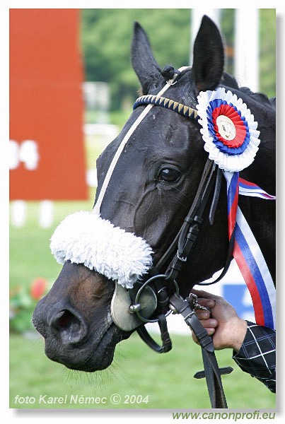 Bratislava - 06. jna 2004