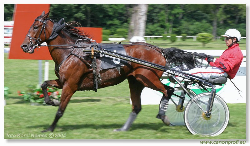 Bratislava - 04. jla 2004