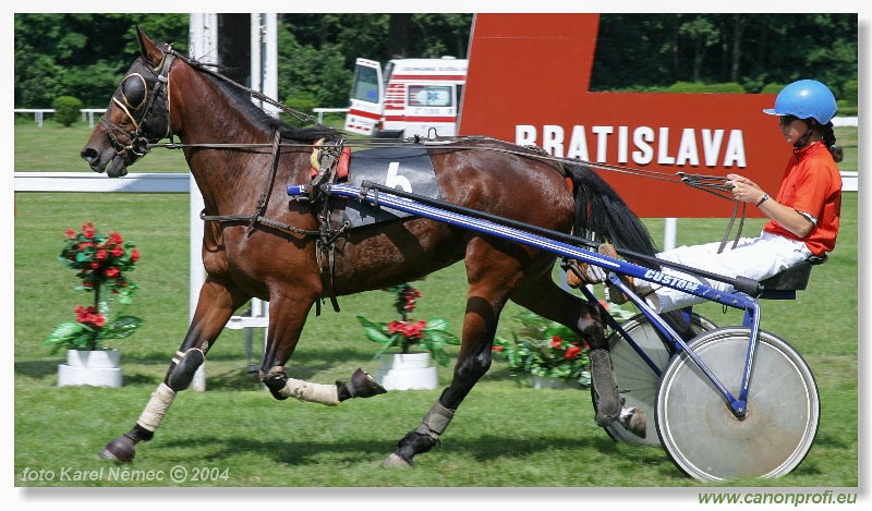Bratislava - 04. jla 2004