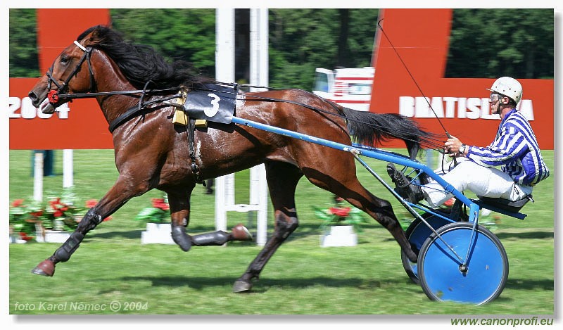 Bratislava - 04. jla 2004