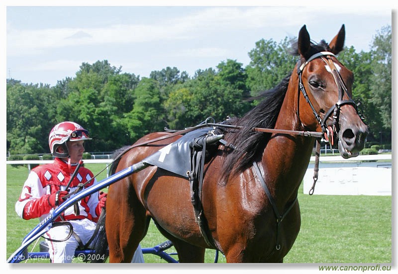 Bratislava - 04. jla 2004