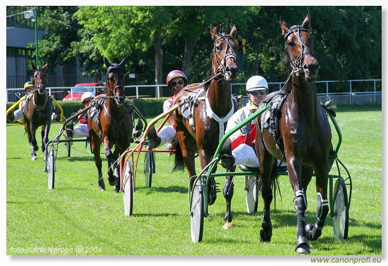 Bratislava - 04. jla 2004