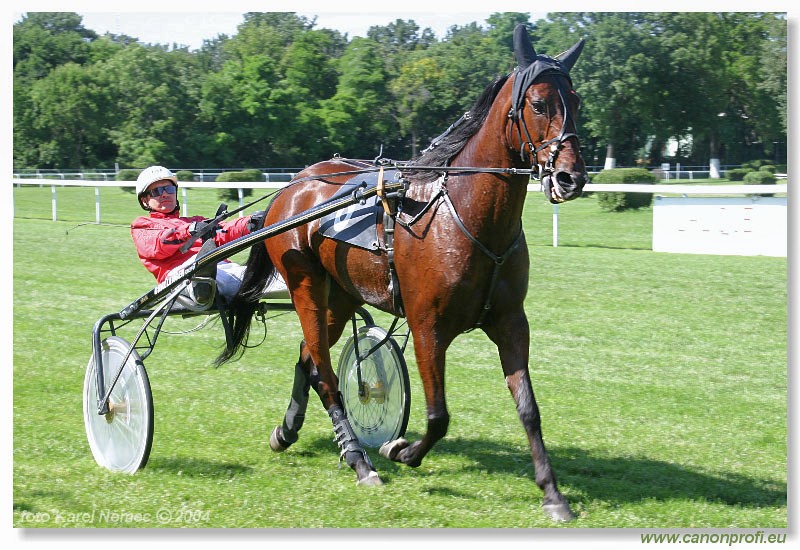 Bratislava - 04. jla 2004