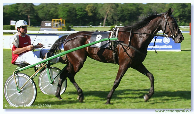 Bratislava - 04. jla 2004