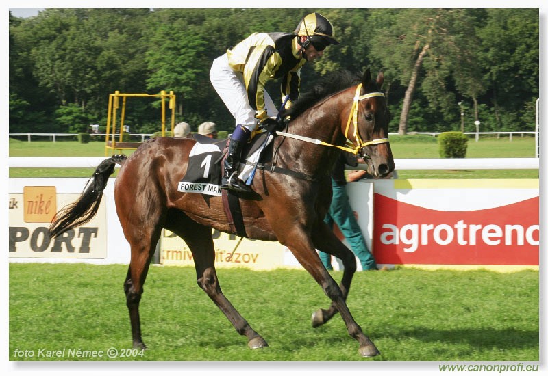 Bratislava - 18. jla 2004