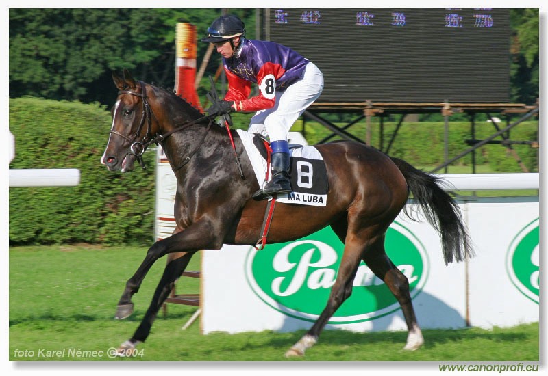 Bratislava - 18. jla 2004